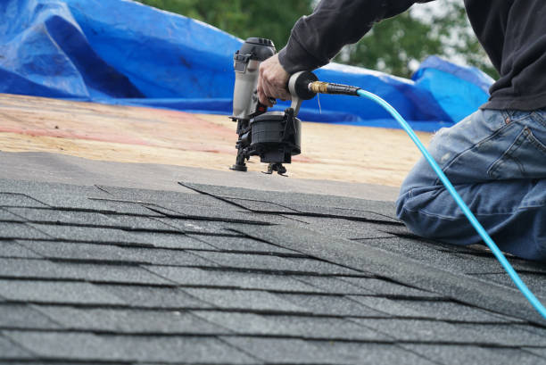 Best Storm Damage Roof Repair  in Cut Bank, MT